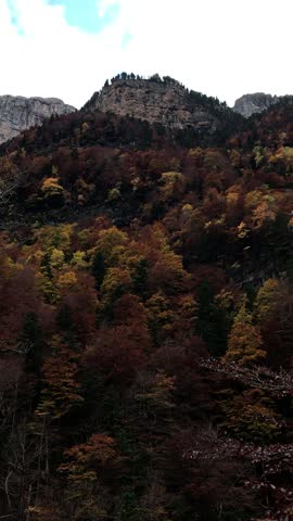 A scenic hiking trail meanders through the pristine forests of Ordesa National Park. The path invites adventurers to explore the valley floor, surrounded by towering peaks and the tranquil sounds of n