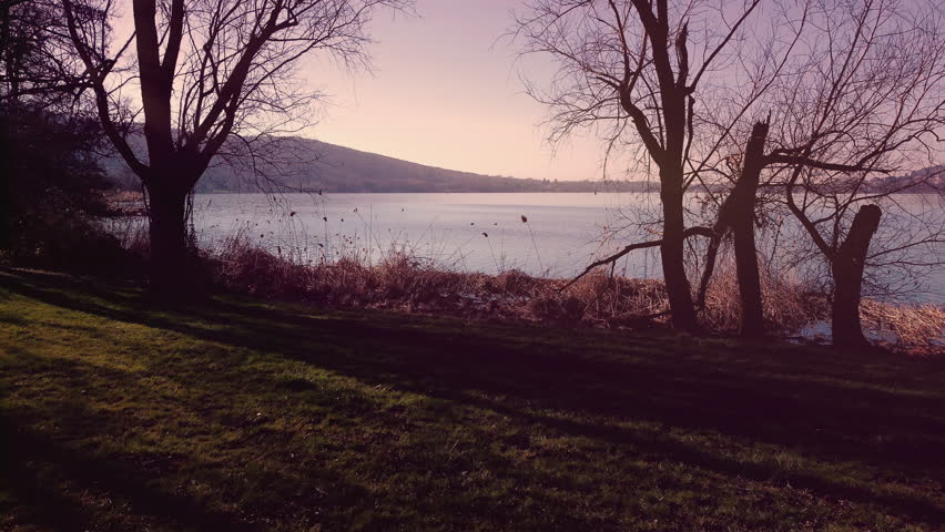 Drone Taking Off from Reeds Over Comabbio Lake at Purple Sunrise