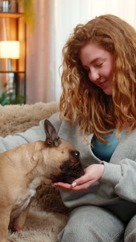 Pug dog waits patiently on home sofa, staring with wide eyes and funny hopeful face for treat and eating. Pet shows charming personality and expressive mood during humorous indoor moment with owner.