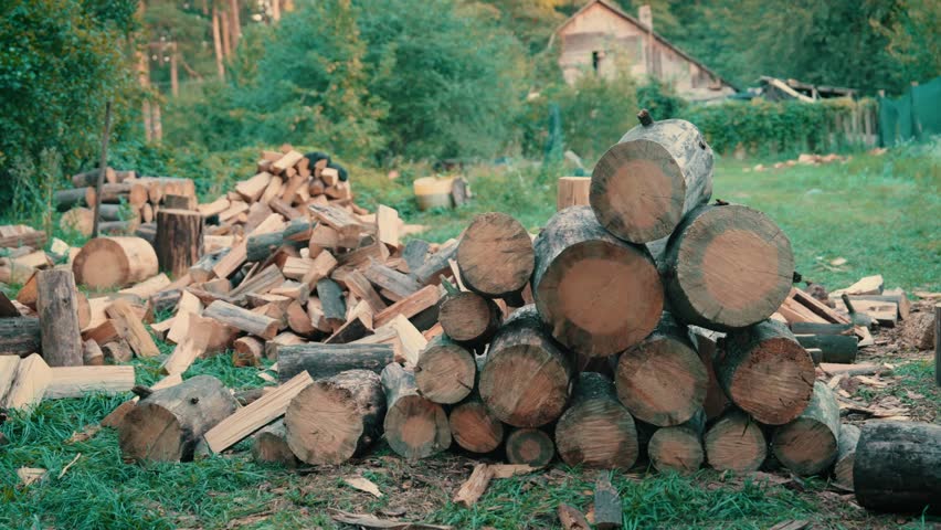 Cut Firewood Logs Stacked in Rural Backyard | Chopped Wood Preparation for Winter Heating | Traditional Home Fuel Storage Among Forest Trees