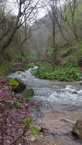 A magnificent waterfall flowing through a lush, dense forest in Gorgan, Iran.