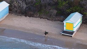 Aerial drone view of man walking dog on sandy beach beside colorful bathing boxes. - Powered by Shutterstock - Get 15% off with code: PIKWIZARD15