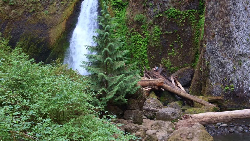 Waterfall in Forest in oregon gorge