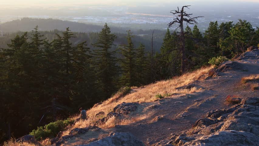 Mountain Landscape with Pine Trees at Golden Sunset
