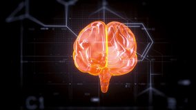 Glowing Digital Brain Illustration Futuristic Technology Meets Neuroscience and Chemistry with Chemical Formulas and Structures in Tech Inspired Background
 - Powered by Shutterstock - Get 15% off with code: PIKWIZARD15