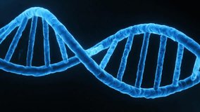 Cinematic 3D Medical Visualization of Human Brain, DNA, and Body Anatomy - Powered by Shutterstock - Get 15% off with code: PIKWIZARD15