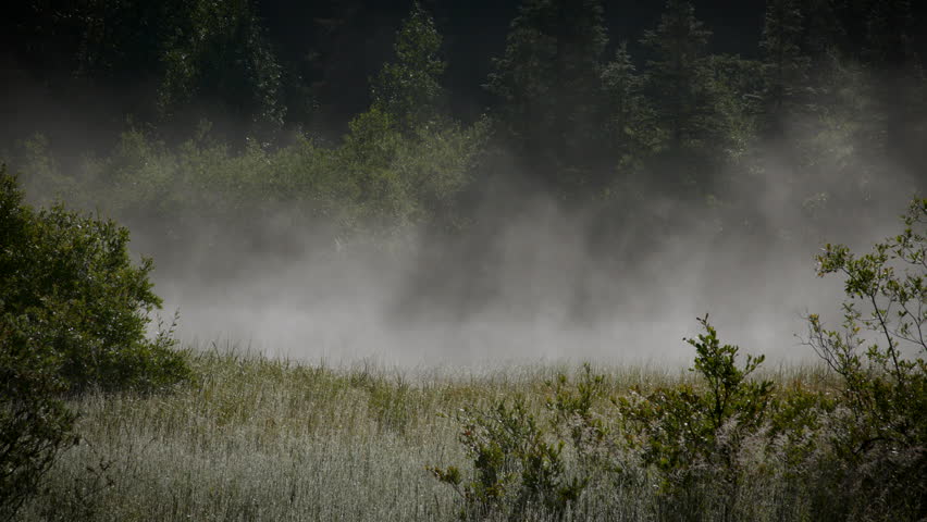 A Lake in Alaska at dawn