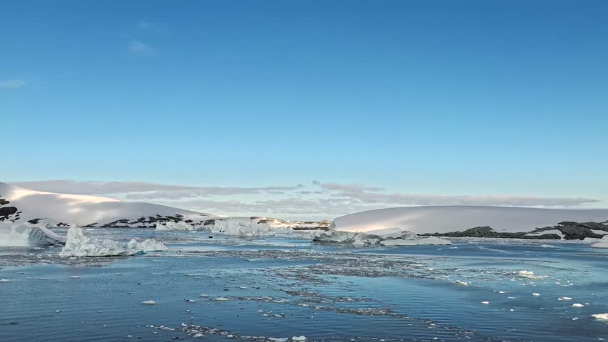 Antarctica expedition ships ice-strengthened vessels designed for polar exploration