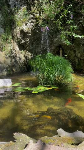 A pond with colorful koi fish swimming among water lilies in Italy. Clear water reflects the greenery and rocks around, creating a peaceful natural scene perfect for relaxation and harmony