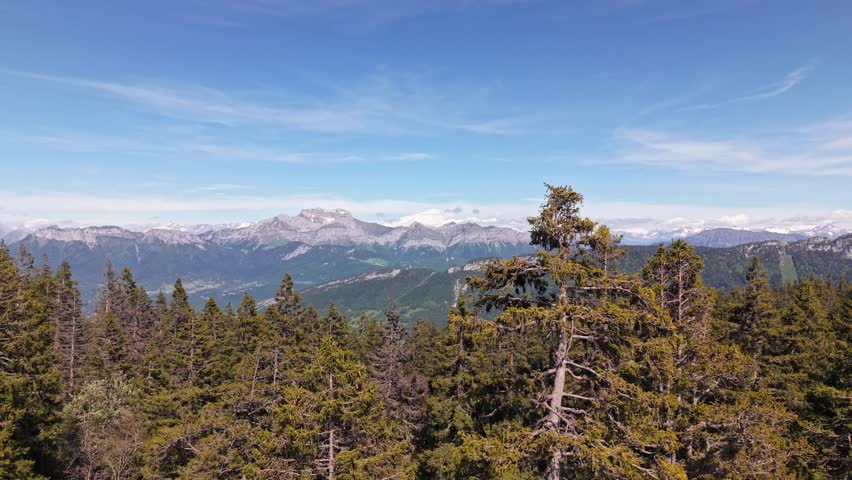 Cinematic drone lateral shot with pine trees in foreground and alpine peaks in background. Scenic aerial landscape of French Alps wilderness, combining forest, mountains and natural beauty.