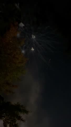 Colorful Fireworks Lighting Up the Night Sky Over the City, Vibrant Celebration Scene