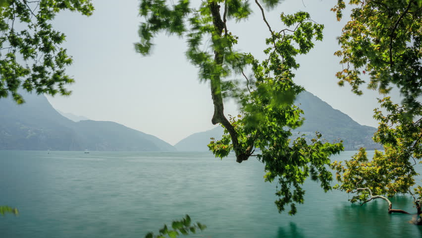 Timelapse of serene Lake Lugano in Switzerland with mountain view, swaying trees, and calm water surface, perfect natural landscape for relaxation in the Alps