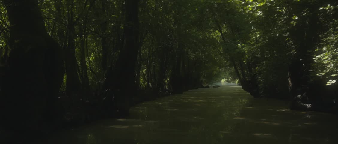Visit the swamp in summer