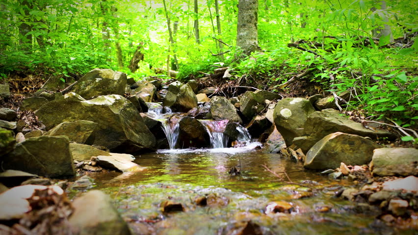 Waterfall at Shamokin springs nature preserve hiking trail in Wintergreen Resort, Virginia in Blue Ridge mountains with rocks, green foliage plants