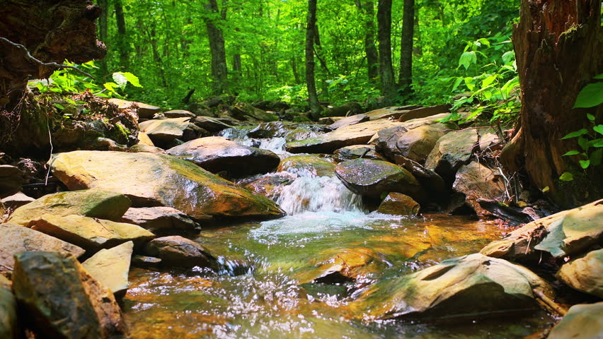 Waterfall at Shamokin springs nature preserve hiking trail in Wintergreen Resort, Virginia at Blue Ridge mountains with rocks, green plants