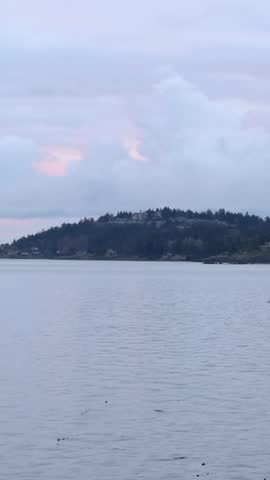 Serene Waters of Vancouver Island With Distant Forested Shoreline and Hazy Pink Sky