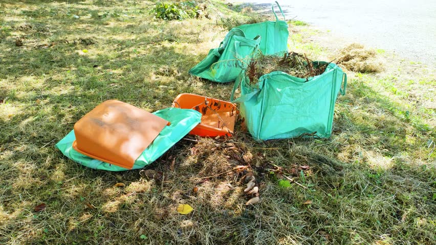 Park maintenance: Debris removal after mowing, panning