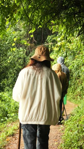 Group of Tourists Walking on Jungle Trail Towards Scenic Waterfall in Chiang Mai, Thailand