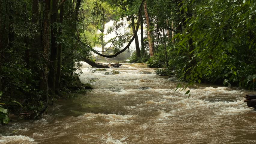 Powerful Raging Mountain River Rapids Flowing Through Rocks in Wild Forest Nature Landscape