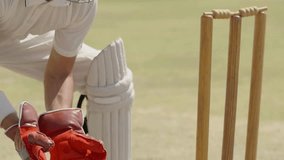  Close Up of Wicket Keeper Hitting the Stumps in 4K Ultra HD | Cricket Match Action, Stumping Moment, Fast Sports Play and Competitive Game Scene - Powered by Shutterstock - Get 15% off with code: PIKWIZARD15