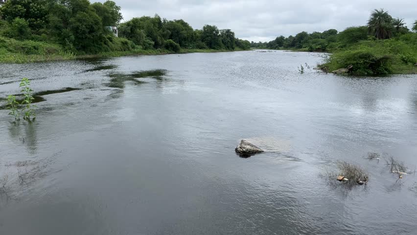 Flowing River with Trees and Sky | Natural Landscape Scenic View