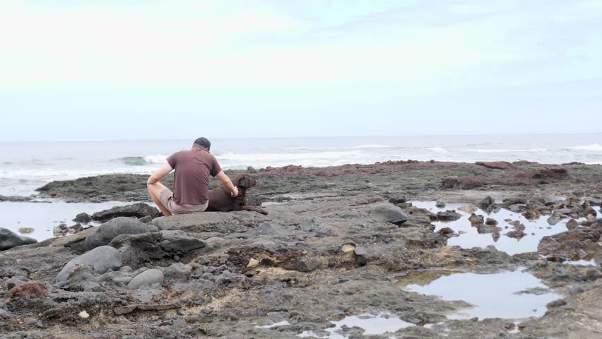Serene Beach Scene with Man and Dog on Rocky Shore