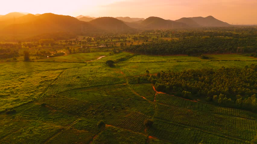 Golden sunset light over lush green farmland valley with mountain backdrop