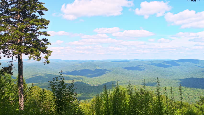 Gaudineer knob mountain of Monongahela national forest at Shavers Allegheny mountains scenic overlook pov point of view walking by pine trees