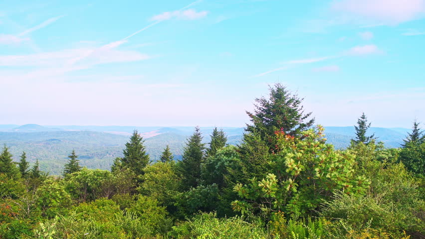 Spruce Knob overlook on Appalachian mountains valley, West Virginia at morning sunrise pov point of view walking shot in summer