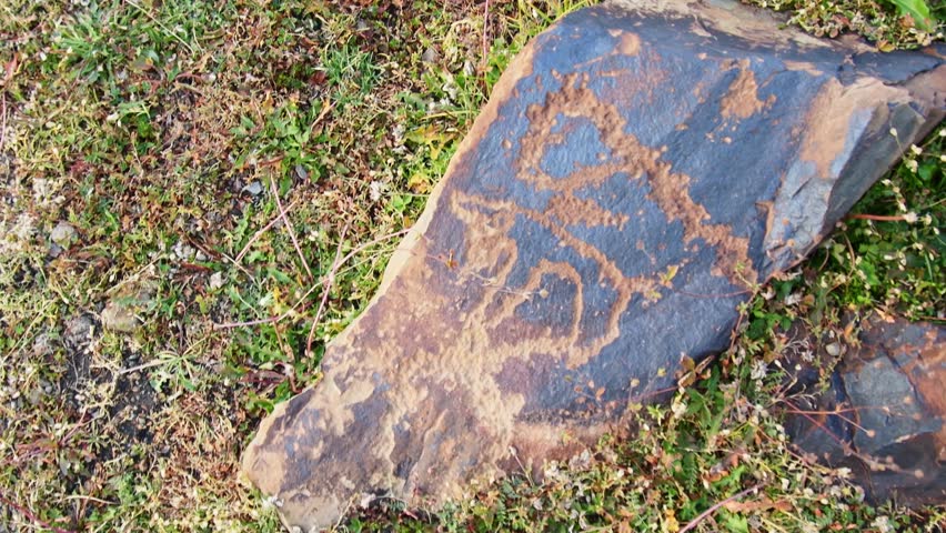 Close up animals Petroglyph carvings. Saymaluu-Tash.Petroglyph site, national park, Jalal-Abad, Kyrgyzstan. Kazarman. Ancient people symbols artwork.UNESCO's Tentative List as Saimaly-Tash Petroglyphs