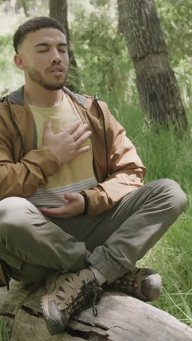 Vertical video: Man placing hands on chest and abdomen breathing for mindfulness on trunk in forest. Nature, mindfulness, serenity, relaxation, outdoor, meditation, vertical video
