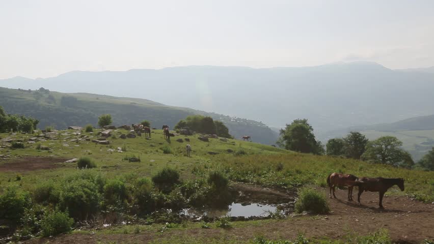 A Serene Landscape Depicting Horses Grazing on Rolling Green Hills Under a Tranquil Sky