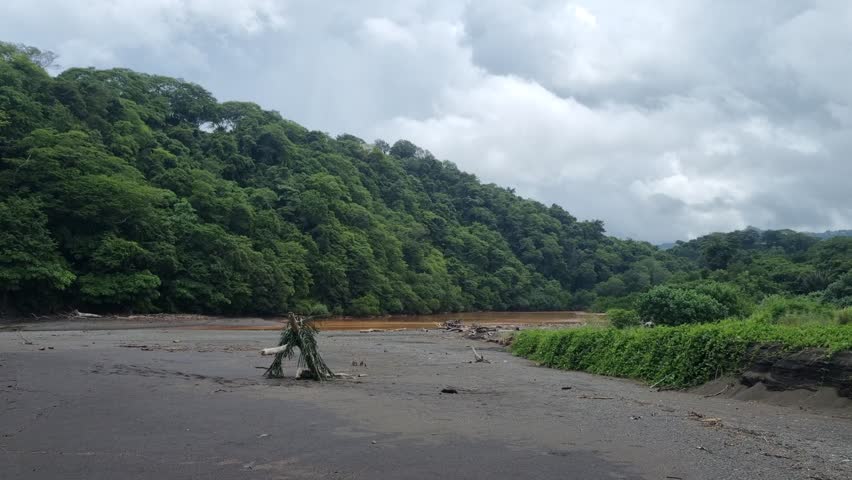 Lush green hillside with dense forest and sandy riverbank under cloudy sky