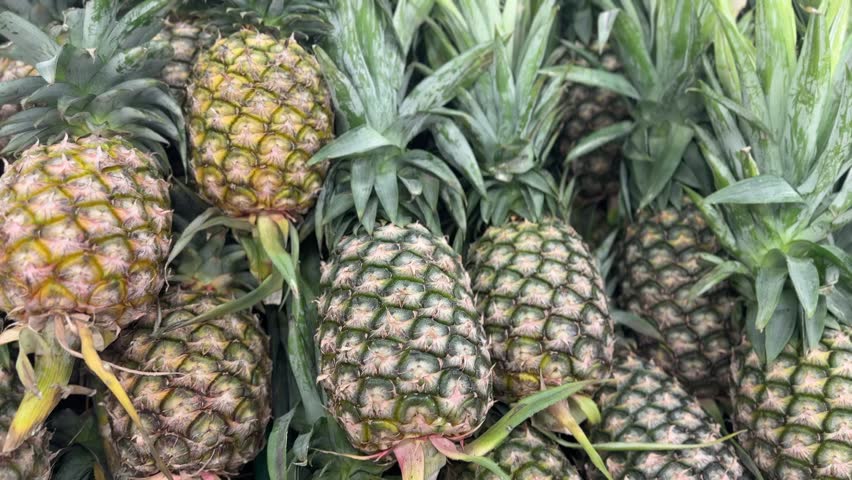 Several pineapples are lined up.