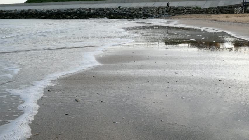 Beautiful Tropical Beach with Waves, Palm Trees, and Sunlight – Relaxing Summer Scenery