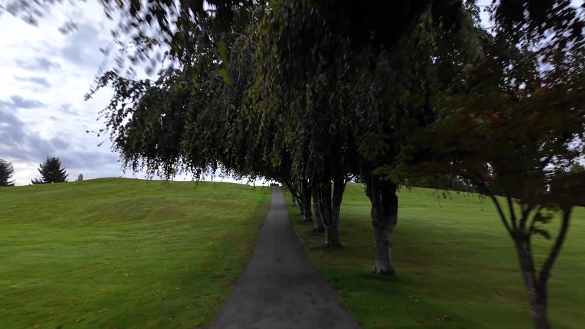 Walking Along a Peaceful Tree-Lined Path Through Green Hills in British Columbia, Canada