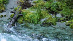 Aerial view of turquoise river water rushing past mossy log and lush green vegetation - Powered by Shutterstock - Get 15% off with code: PIKWIZARD15