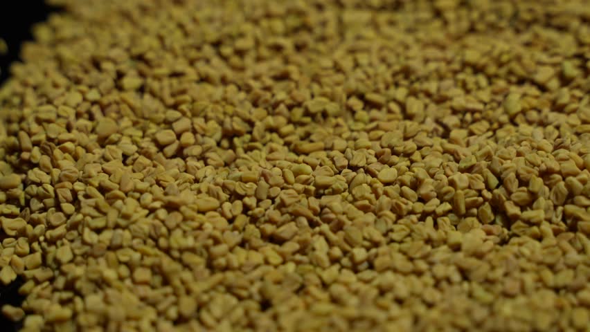 Fenugreek is a beneficial food for diabetes.