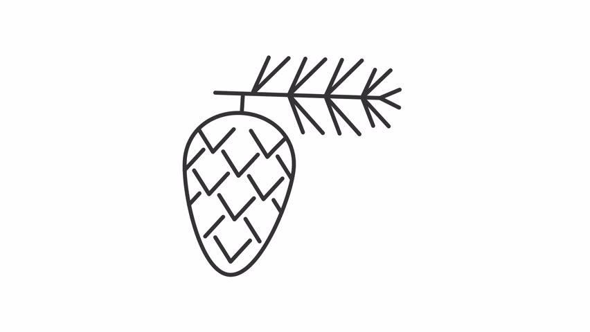 Animated pine cone line icon. Cedar tree pollen animation. Common seasonal allergen trigger. Allergy for coniferous plant. Outline element on white background. HD video with alpha channel