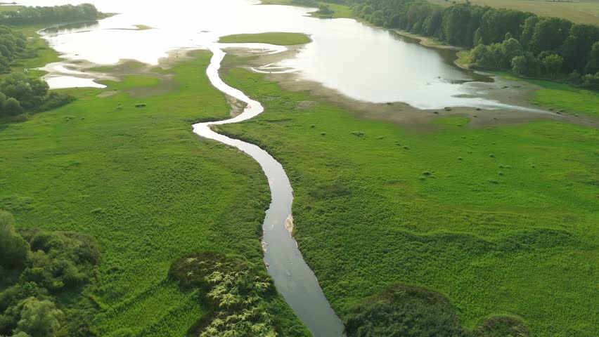 Green grass growing on dry lake bed