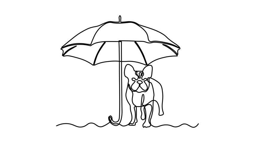 Abstract open umbrella. Self drawing animation one continuous line draw, logo