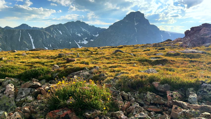 Mount of the Holy Cross 14er yellow wildflowers summer afternoon Rocky Mountain Sawatch Range Peak Colorado Alpine backcountry landscape Notch Mountain Shelter Halo Ridge trail clouds static shot