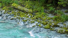 Turquoise rapids rush past mossy rocks and fallen logs in lush temperate New Zealand forest - Powered by Shutterstock - Get 15% off with code: PIKWIZARD15