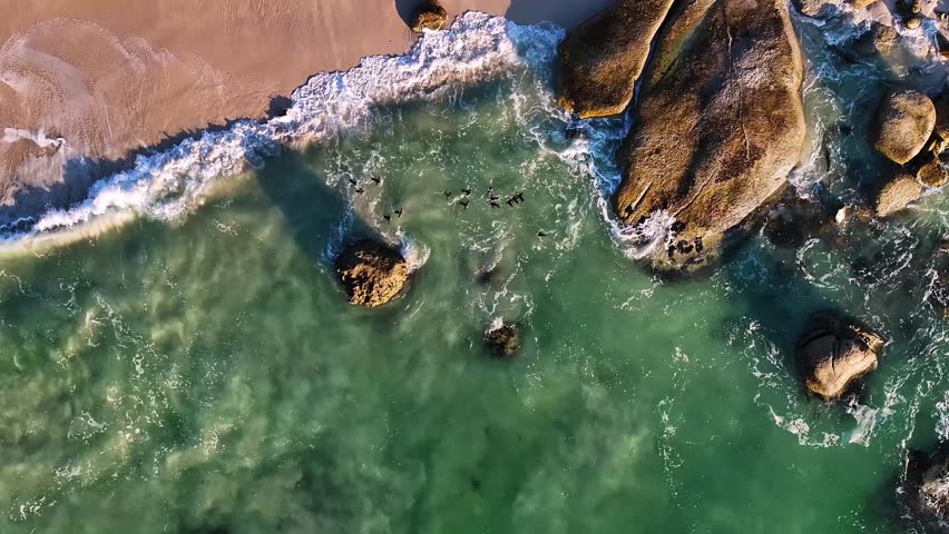 Aerial view of birds flying over the ocean at the beach with rocks and waves crashing in the turquoise water, Cape Town, Western Cape, South Africa.