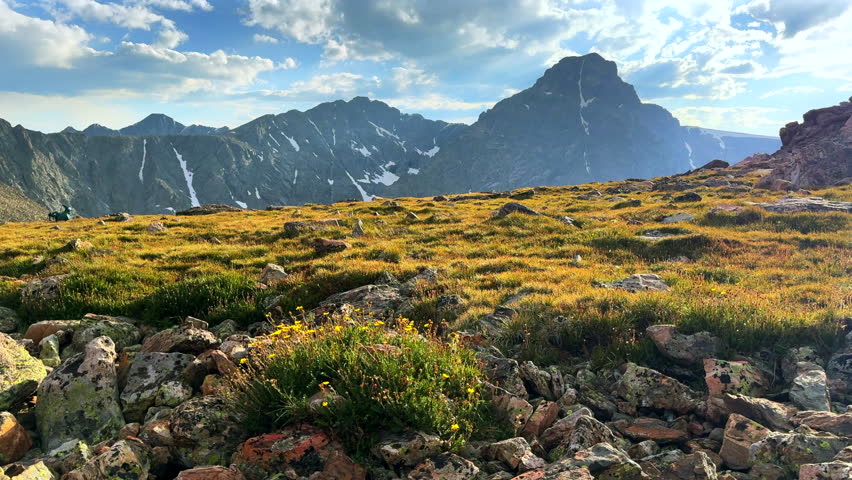 Mount of the Holy Cross 14er yellow wildflowers summer afternoon Rocky Mountain Sawatch Range Peak Colorado Alpine backcountry landscape Notch Mountain Shelter Halo Ridge trail clouds left motion