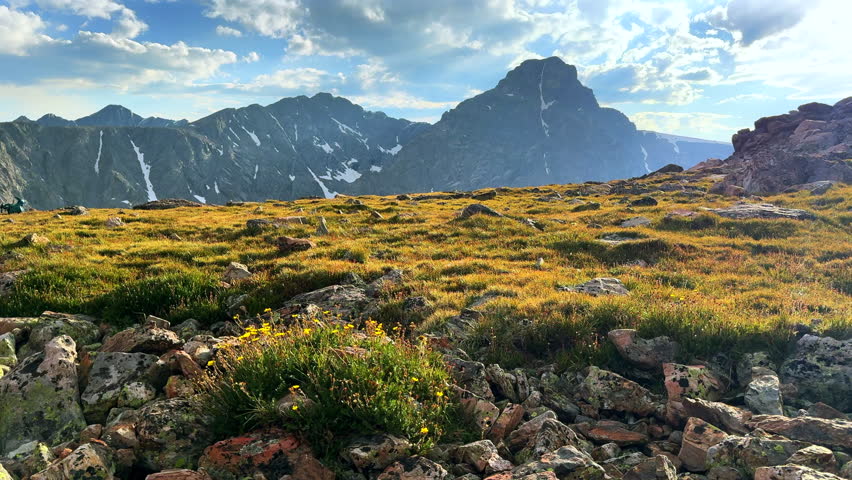 Mount of the Holy Cross 14er yellow wildflowers summer afternoon Rocky Mountain Sawatch Range Peak Colorado Alpine backcountry landscape Notch Mountain Shelter Halo Ridge trail clouds static shot