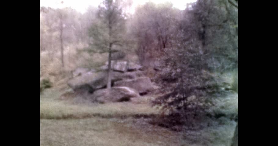Vintage video of Rocks and Trees in a Park. Archival video, 1970s, Chernigov, Ukraine