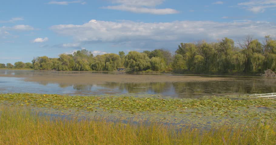 Light skin Black male walking up to lake taking in the view