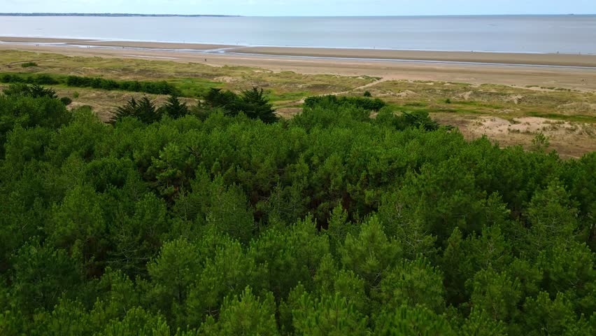 Pine forest bordering sandy dunes and expansive coastline, revealing dramatic landscape convergence near Saint Brevin les Pins with sweeping aerial view capturing natural terrain transition