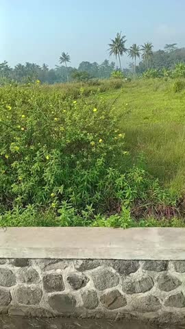 A stone wall borders a flowing stream, with lush green bushes and small yellow flowers growing behind it under sunlight, creating a natural and serene landscape view.
